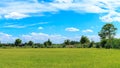 Green Rice fields Thailand Royalty Free Stock Photo