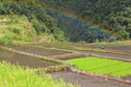 Batad, Philippines. Rainbow in the background Royalty Free Stock Photo