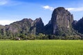 Green rice paddy field and limestone mountains in Vang Vieng, popular tourist resort town in Lao PDR