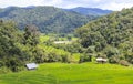 Green rice terrace field in Chiang Mai, Thailand. Royalty Free Stock Photo