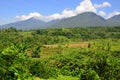 Green rice terraces in Asia Royalty Free Stock Photo