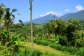 Green rice terraces in Asia Royalty Free Stock Photo