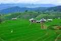Green rice terraces on holiday at pa bong paing village,  Mae-Jam Chiang mai, Thailand Royalty Free Stock Photo