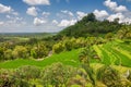 Green rice fields Jatiluwih on Bali island, Indonesia