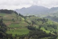 Green rice terraces landscape in Sapa, Lao Cai, Vietnam