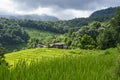 Green rice terraces and old houses in mountain hug Royalty Free Stock Photo
