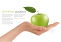 Green ripe apple in a hand. Royalty Free Stock Photo