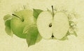 Green ripe Apple with leaves, flowers and half on yellow paper rustic background. Rendering an illustration from photo Royalty Free Stock Photo