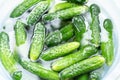 Green ripe cucumbers in water Royalty Free Stock Photo