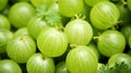 Green ripe gooseberries background close up. generative ai