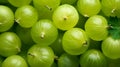 Green ripe gooseberries background close up. generative ai