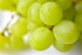 Green ripe grapes macrophotography on a white background Royalty Free Stock Photo