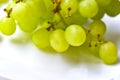 Green ripe grapes macrophotography on a white background Royalty Free Stock Photo