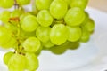 Green ripe grapes macrophotography on a white background Royalty Free Stock Photo