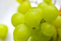 Green ripe grapes macrophotography on a white background Royalty Free Stock Photo