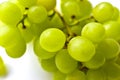 Green ripe grapes macrophotography on a white background Royalty Free Stock Photo