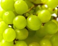 Green ripe grapes macrophotography on a white background Royalty Free Stock Photo