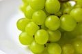 Green ripe grapes macrophotography on a white background Royalty Free Stock Photo