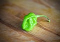 Green ripe habanero hot chili peppers on a wooden plate from car Royalty Free Stock Photo