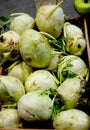 Green ripe kohlrabi