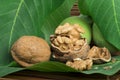 Green and ripe walnuts. Studio shot Royalty Free Stock Photo