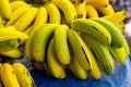 Green and ripe yellow bananas on market counter. Fruit and vegetable farmer market. Healthy organic food. Close up. Selective Royalty Free Stock Photo