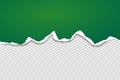 Green ripped horizontal paper strip for text or message are on squared background. Vector illustration