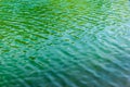 Green ripples on the surface of water in lake Royalty Free Stock Photo