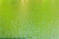 Green ripples on the surface of water in lake Royalty Free Stock Photo