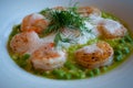 Green risotto with shrimps. Royalty Free Stock Photo