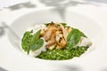 Green risotto with squid and stracciatella cheese on white plate. Creamy risotto with spinach, calamari and creamy cheese. Italian Royalty Free Stock Photo