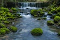 The green is in the river.