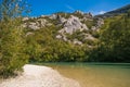 Green river Metauro in the marche apennines Royalty Free Stock Photo