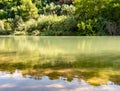 Green river in summer Royalty Free Stock Photo