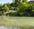 green river in summer Royalty Free Stock Photo