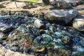 Green river water rushing over the rocks at Kenneth Hahn Recreation Area in Los Angeles Royalty Free Stock Photo