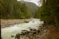Green river between Whistler and Pemperton (Canada Royalty Free Stock Photo