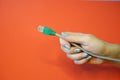 Green RJ45 network connector on a red background in well-groomed female hands Royalty Free Stock Photo