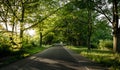 Green road Royalty Free Stock Photo