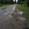 Green road after rain