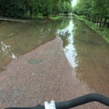 Green road after rain