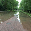 Green road after rain