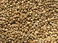 Green robusta coffee beans Royalty Free Stock Photo