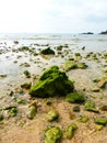Green rocks on the beach, Onna, Okinawa Royalty Free Stock Photo