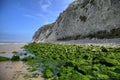 Green rocks on sea coast near Wissant city, France. Royalty Free Stock Photo