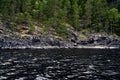 Green rocky shore with pine forest. Background for travel and adventure materials