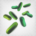 Green rod-shaped bacteria. Vector illustration Royalty Free Stock Photo