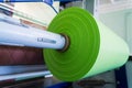 Green roll of polyethylene or polypropylene bags