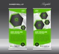 Green Roll up banner template vector, roll up stand, banner