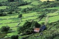 Green rolling fields in Healy Pass, Cork, Ireland